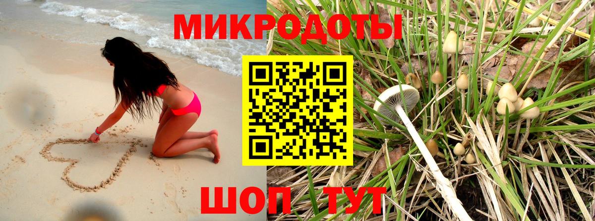 Псилоцибиновые грибы Magic Shrooms  Вход с VPN  Черняховск 