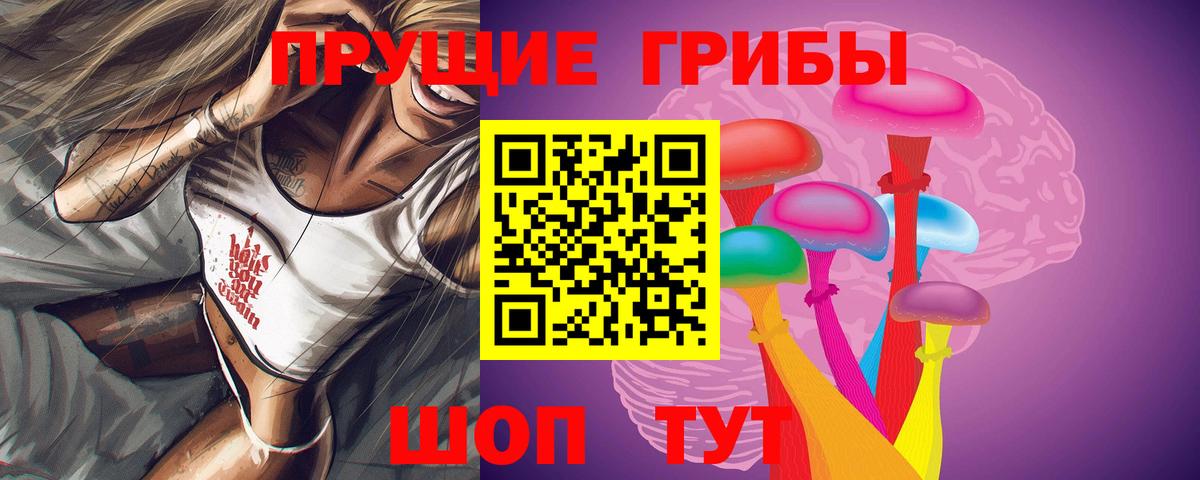 Псилоцибиновые грибы Cubensis Черняховск