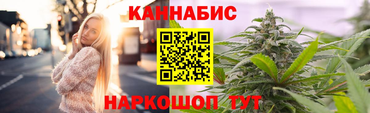 Конопля планчик Черняховск